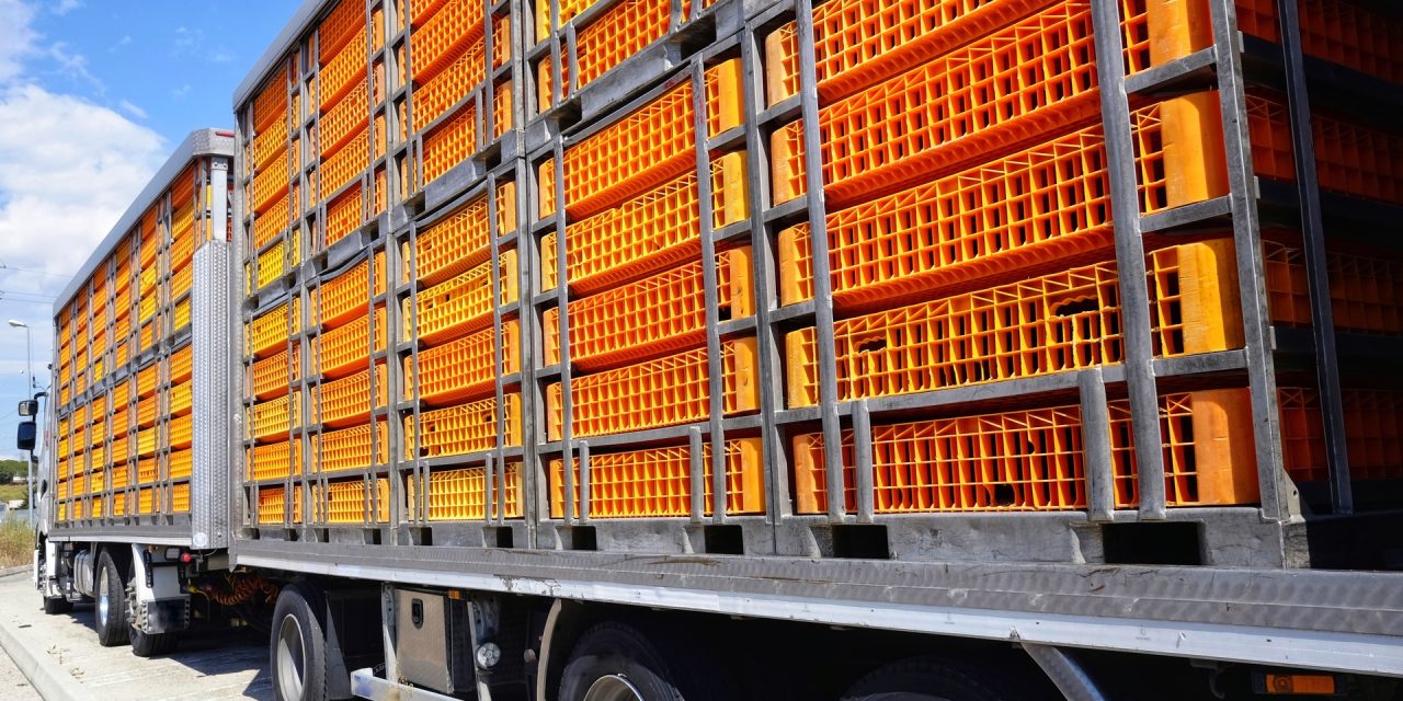 Corrosion Resistance in Live-Haul Trailers: Materials, Coatings, and Long-Term Performance