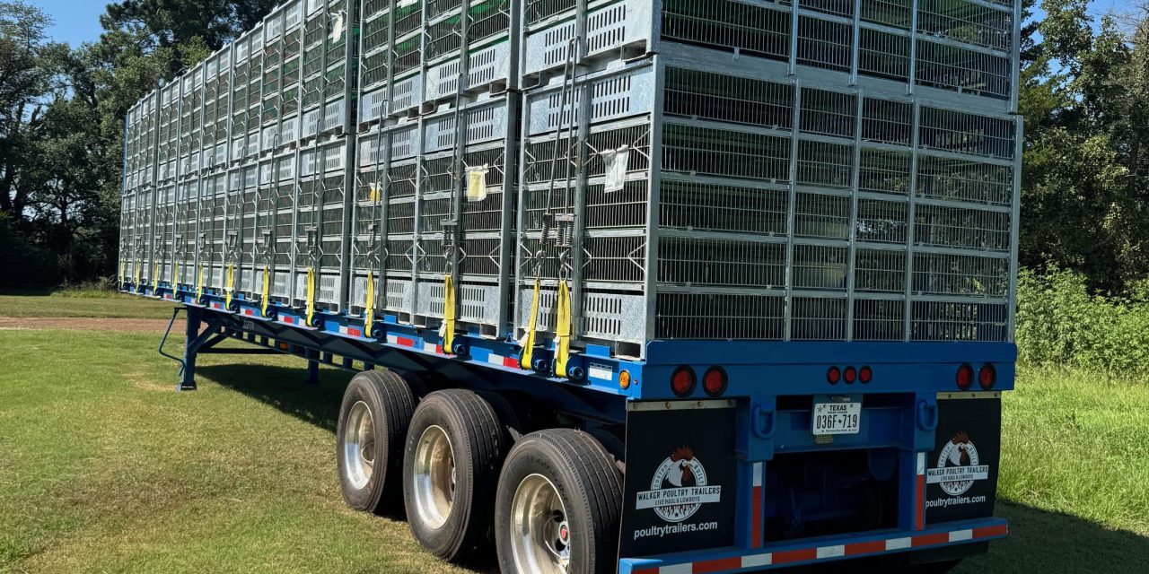 Top 5 Considerations When Choosing a Live Haul Poultry Trailer