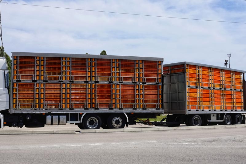 Best Practices for Trailer Winterization Beyond Basic Cold-Stress Preparation